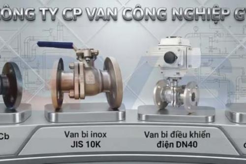Van Bi Điều Khiển Điện Gvs